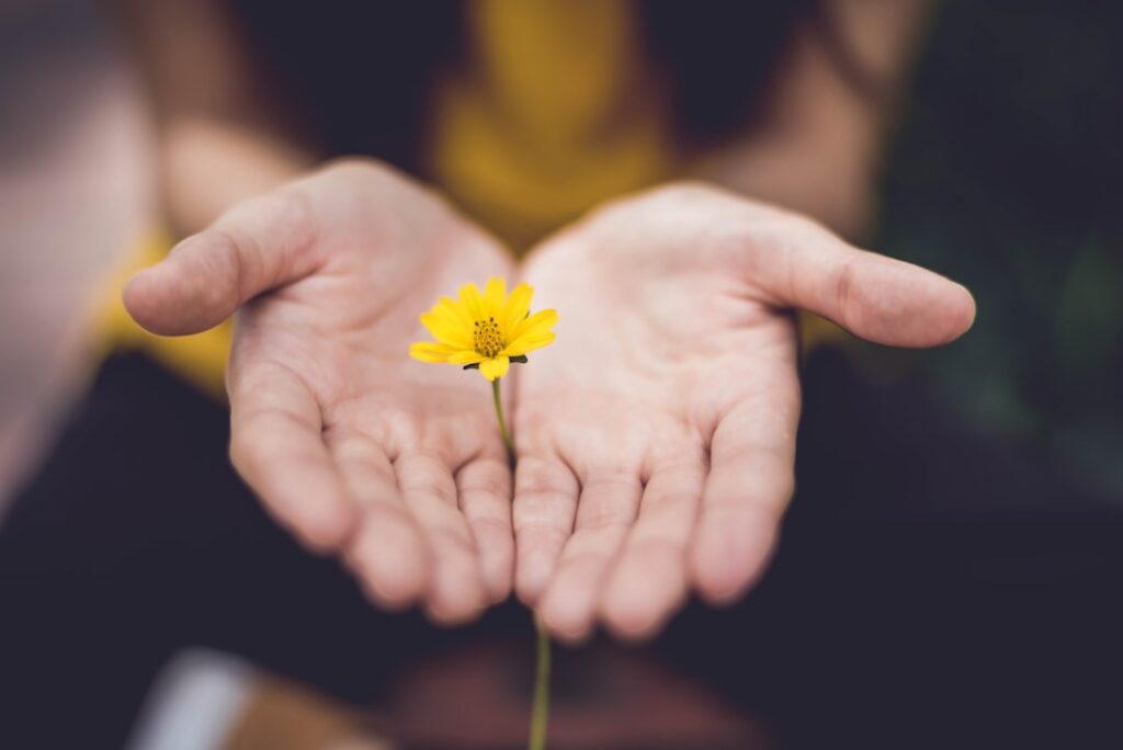 Wisdom of Generosity