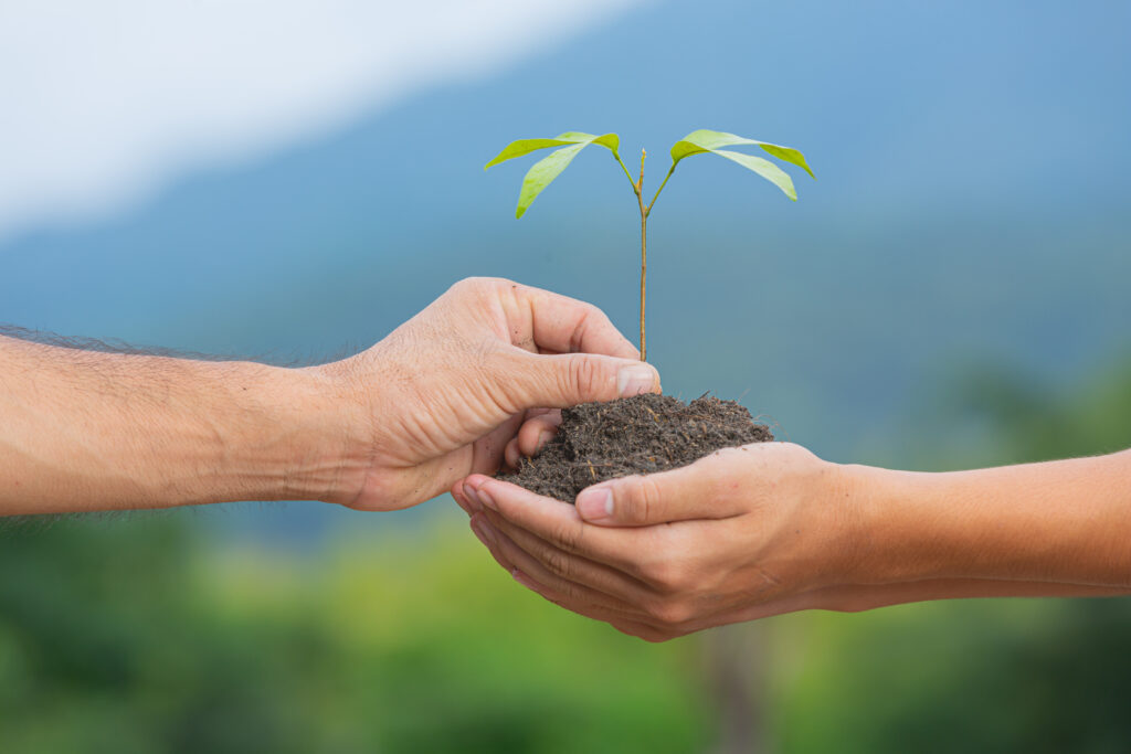 Build Wealth from Faith